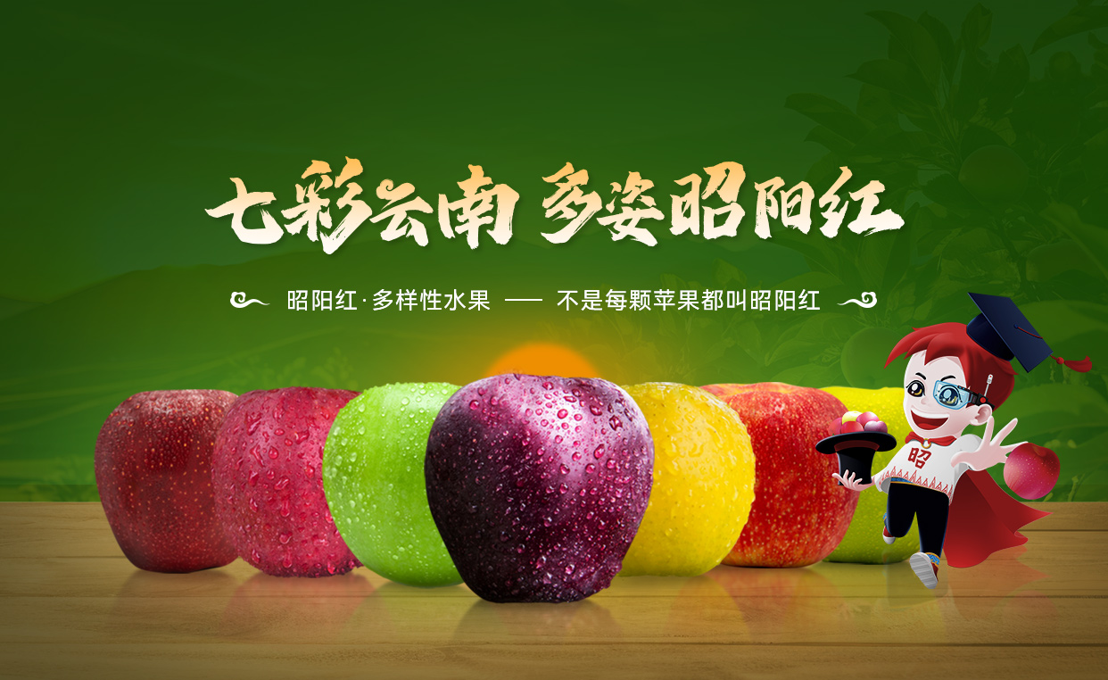 banner01.jpg