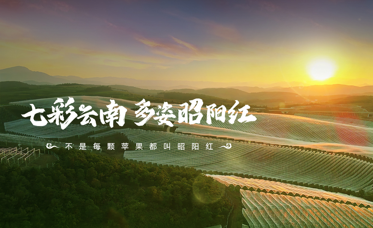 banner02.jpg