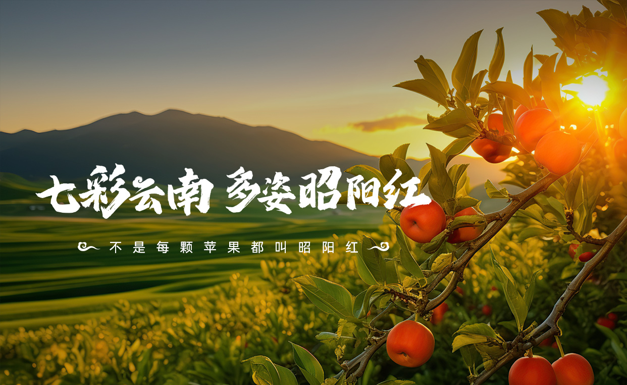 banner03.jpg