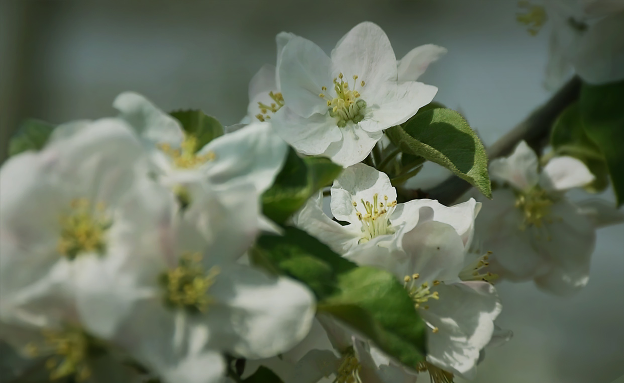 banner04视频.jpg