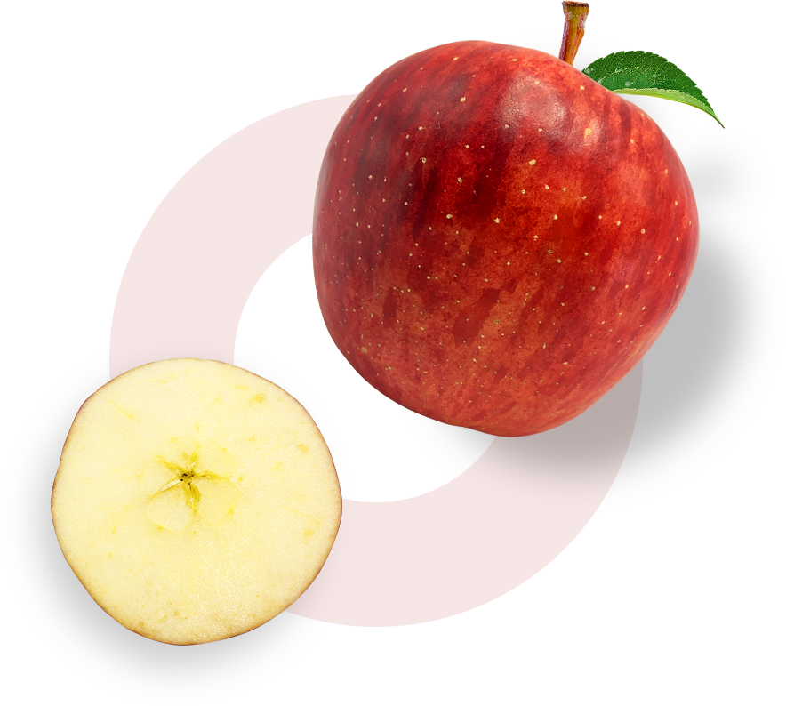 01-首页-秦脆.png