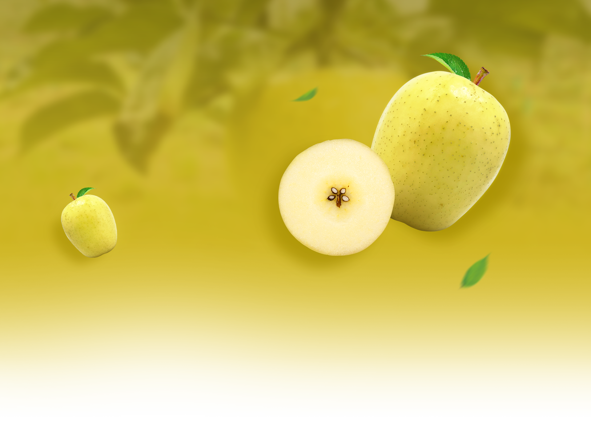 20241227083131268.png