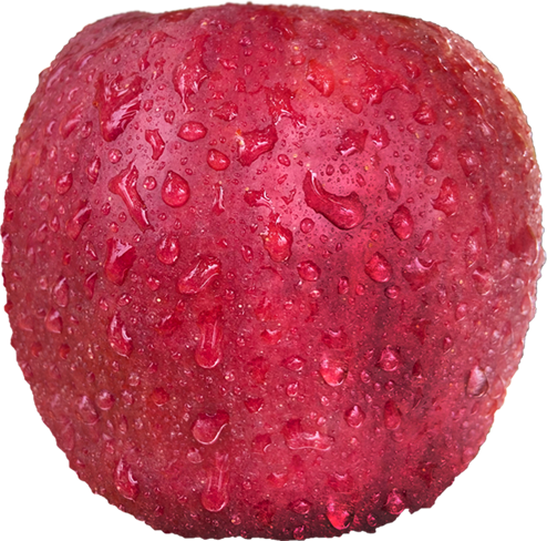 fruit_img3.png
