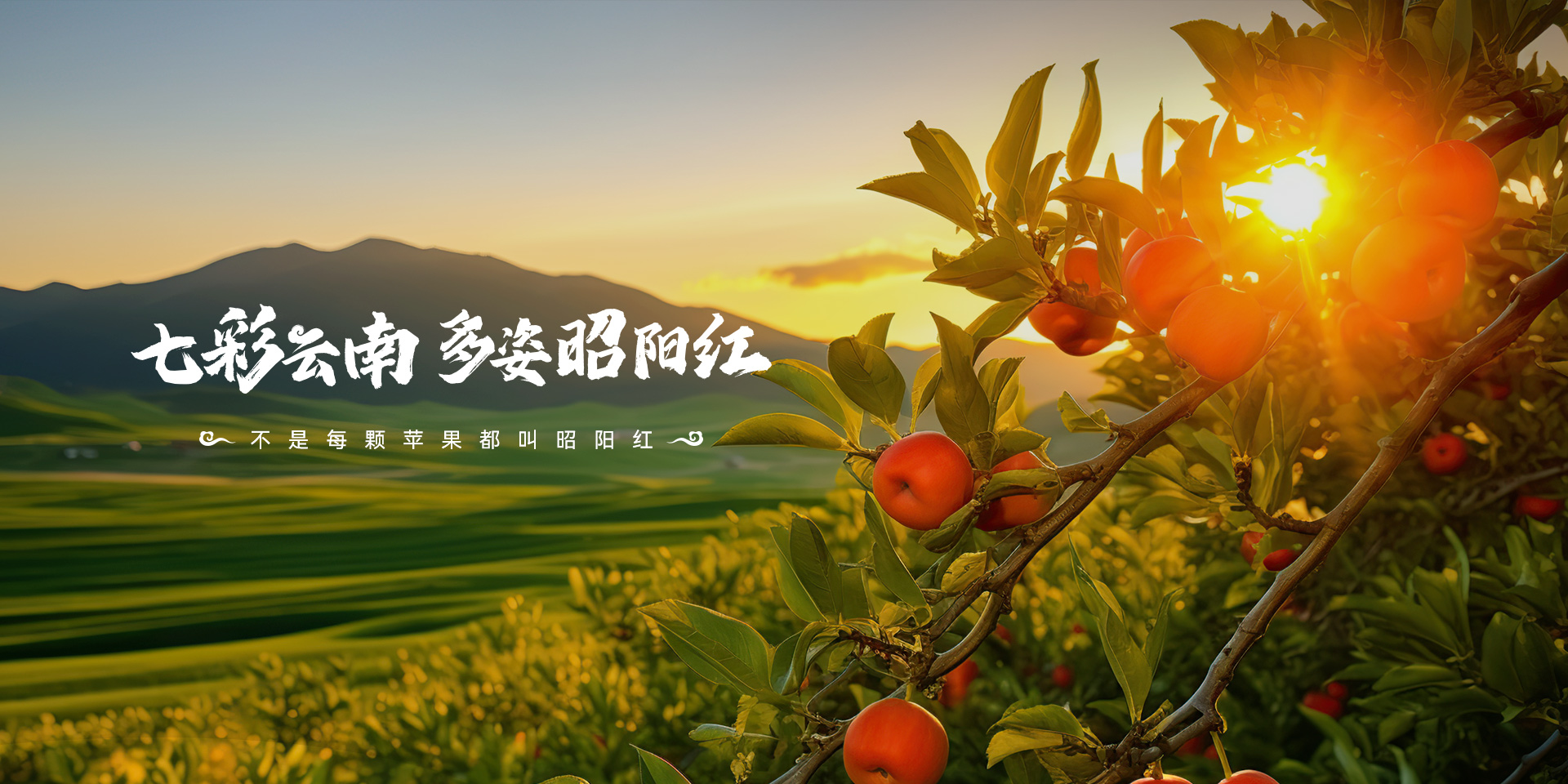 banner3.jpg