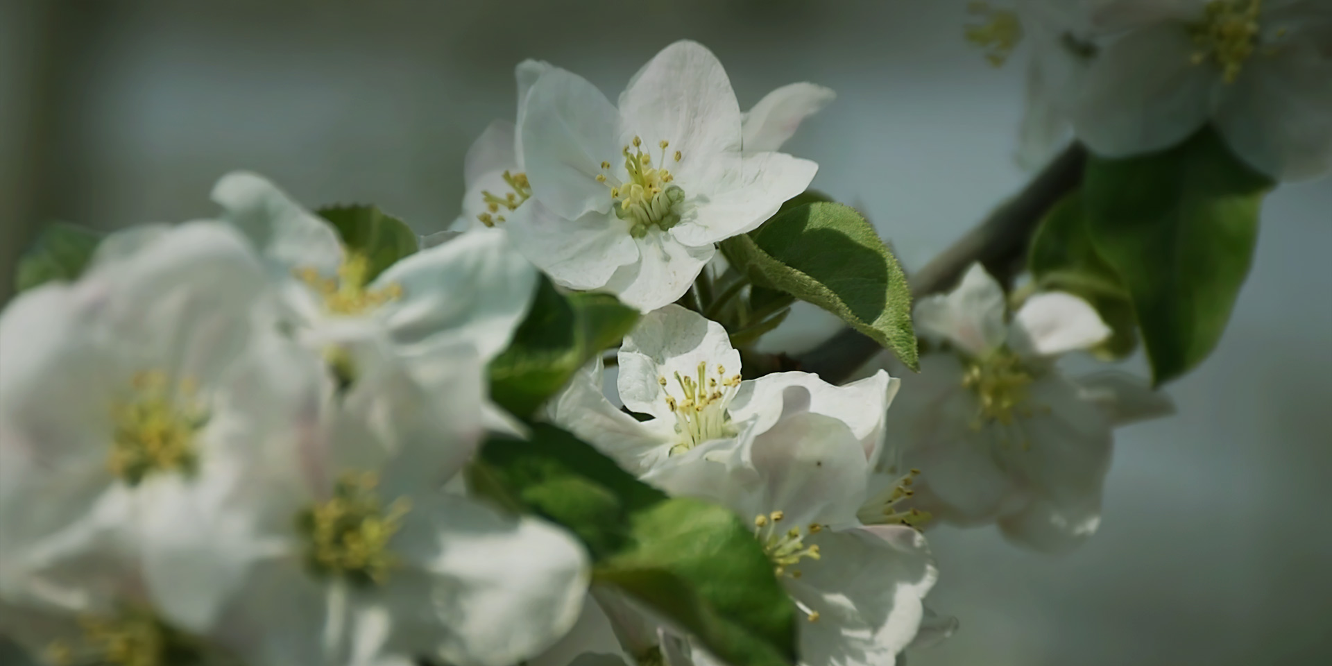 banner4.jpg