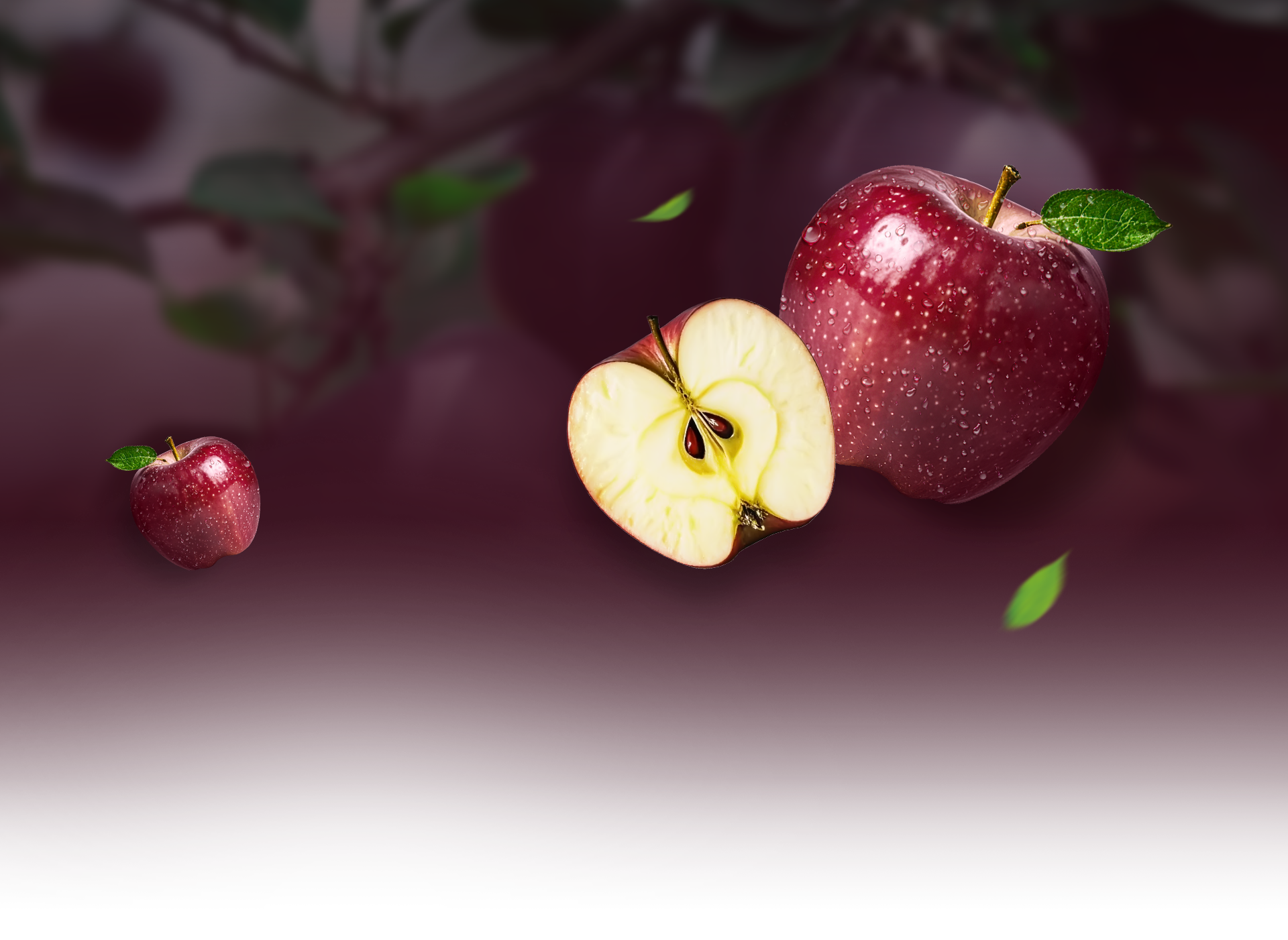 product_banner2.png